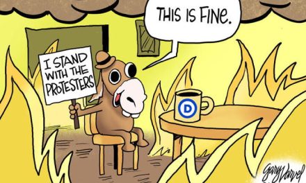 Standing with Protesters