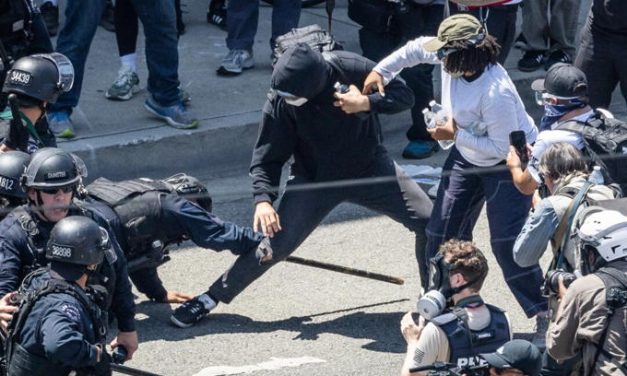 Assaults against ICE up 1,153% in 11 months