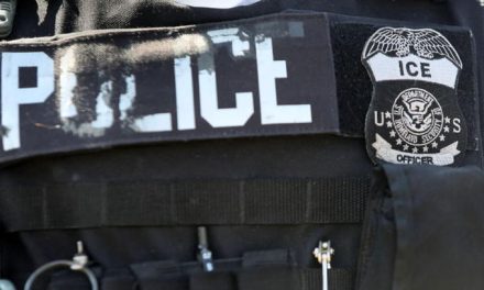 Attacks against ICE agents up by 500%