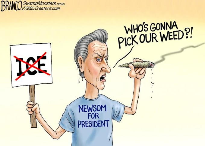 Dude, Where’s My Weed?