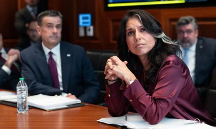 Gabbard releases new intel claiming FBI, CIA ‘knowingly created’ Russia hoax