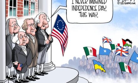 Which Flag?