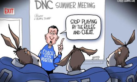 Democrat Playbook