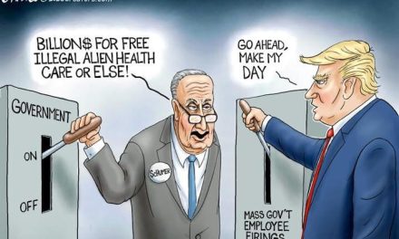 Schumer Showdown