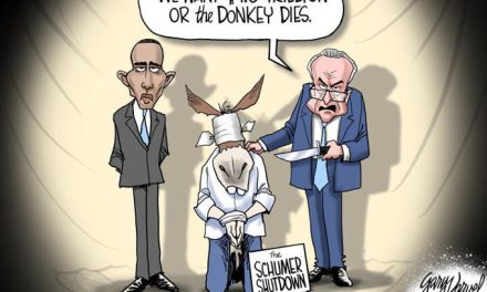 Schumer Shutdown