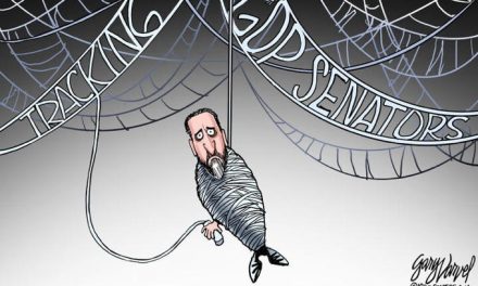 Tangled Web