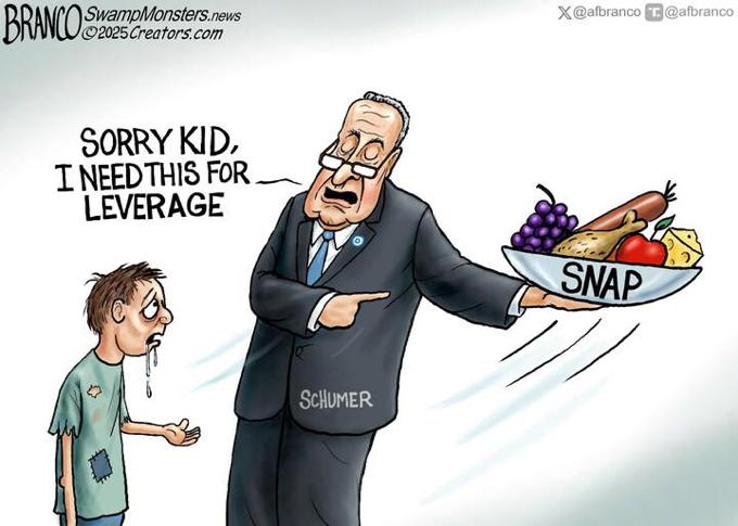 Schumer Leverage