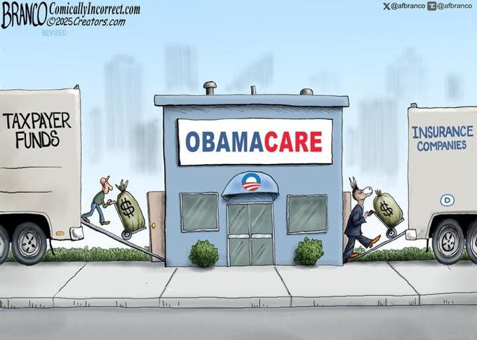 Insurance Payout