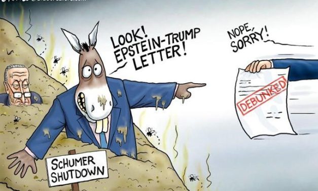 Democrat Distraction