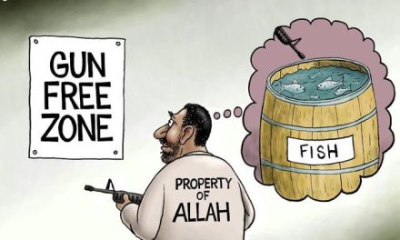 Fish in a Barrel